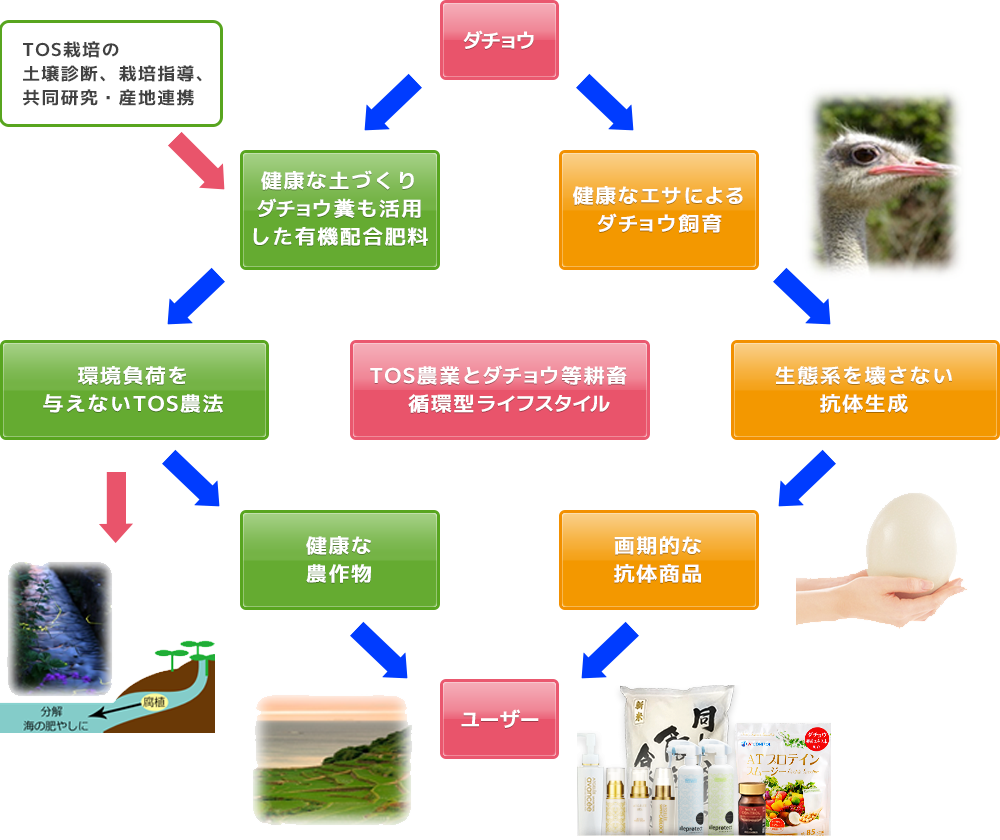 TOS農業のサイクル